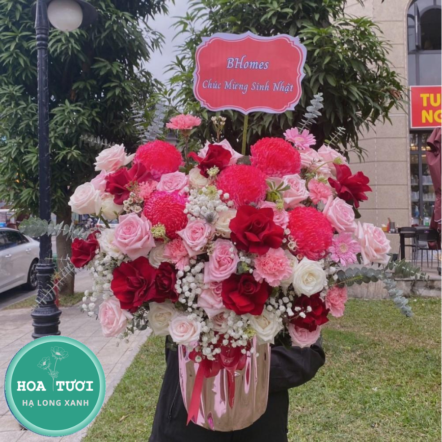 HG020 - Hồng Hạnh