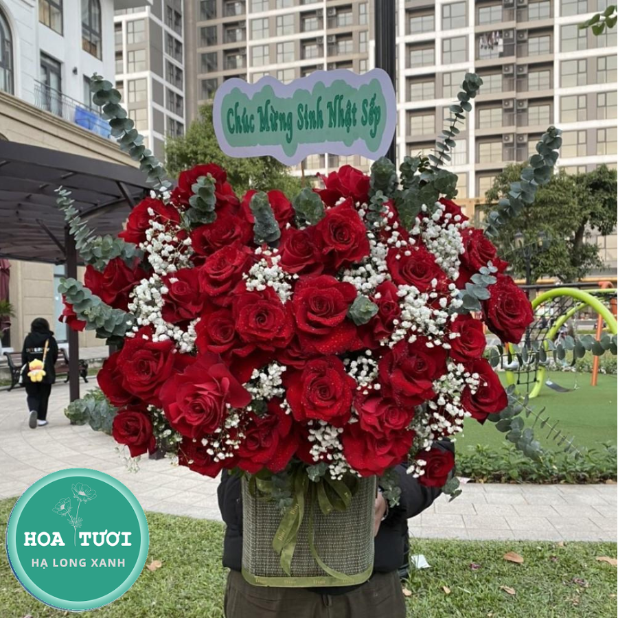 HG021 - Khoe Sắc