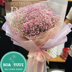 HB026 - Thiên Hà